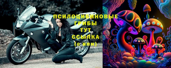 молекула духа Краснотурьинск